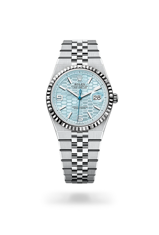 rolex Land-Dweller 36 in Platinum, m127236-0001 - david m robinson