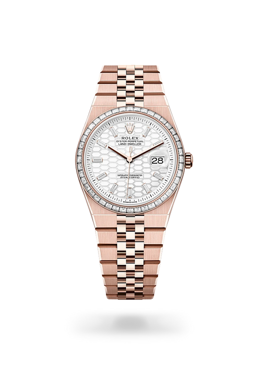 rolex Land-Dweller 36 in 18 ct Everose gold, m127285tbr-0002 - david m robinson