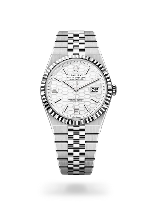 rolex Land-Dweller 40 in White Rolesor - combination of Oystersteel and white gold, m127334-0001 - david m robinson