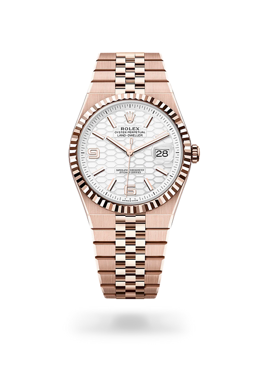 rolex Land-Dweller 40 in 18 ct Everose gold, m127335-0001 - david m robinson