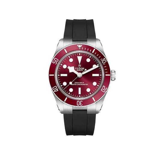 Shop TUDOR Black Bay 58 at David M Robinson