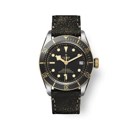 TUDOR Black Bay S&G Automatic 41mm Watch at David M Robinson