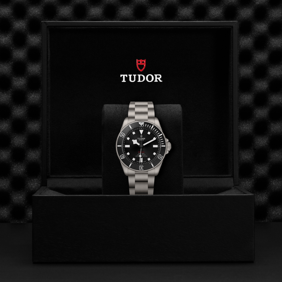 TUDOR Pelagos Automatic 39mm Watch at David M Robinson