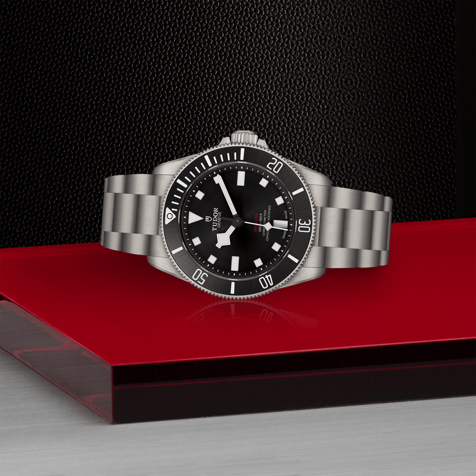 TUDOR Pelagos Automatic 39mm Watch at David M Robinson