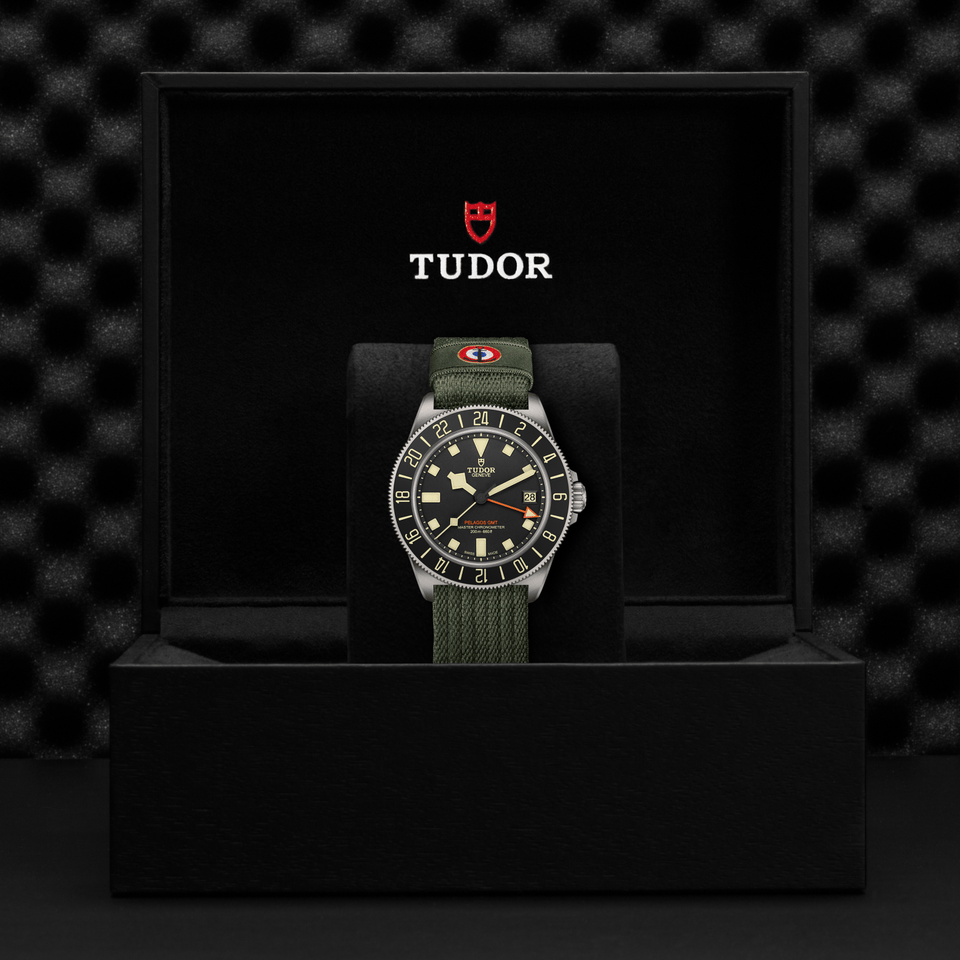 TUDOR Pelagos FXD GMT Automatic 42mm Watch at David M Robinson
