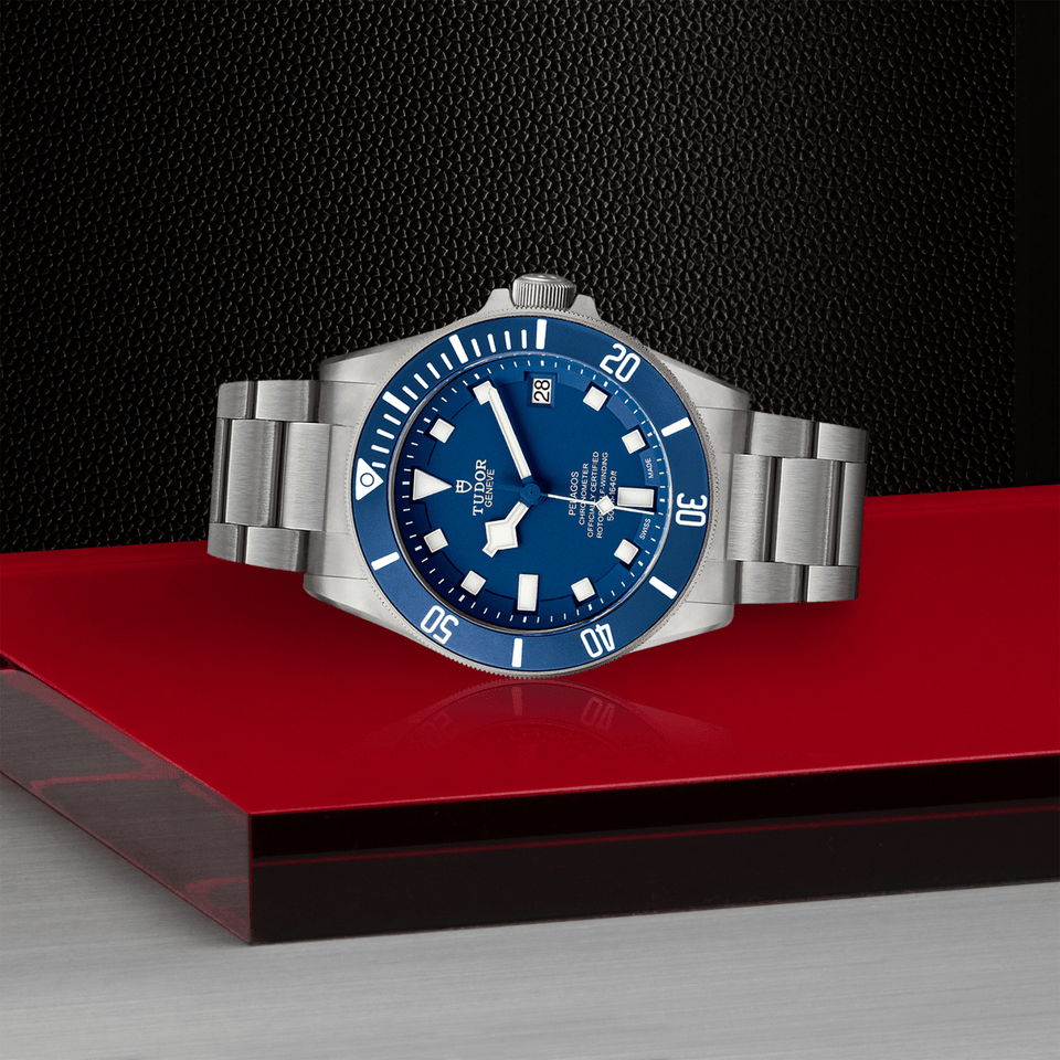 TUDOR Pelagos Automatic 42mm Watch at David M Robinson