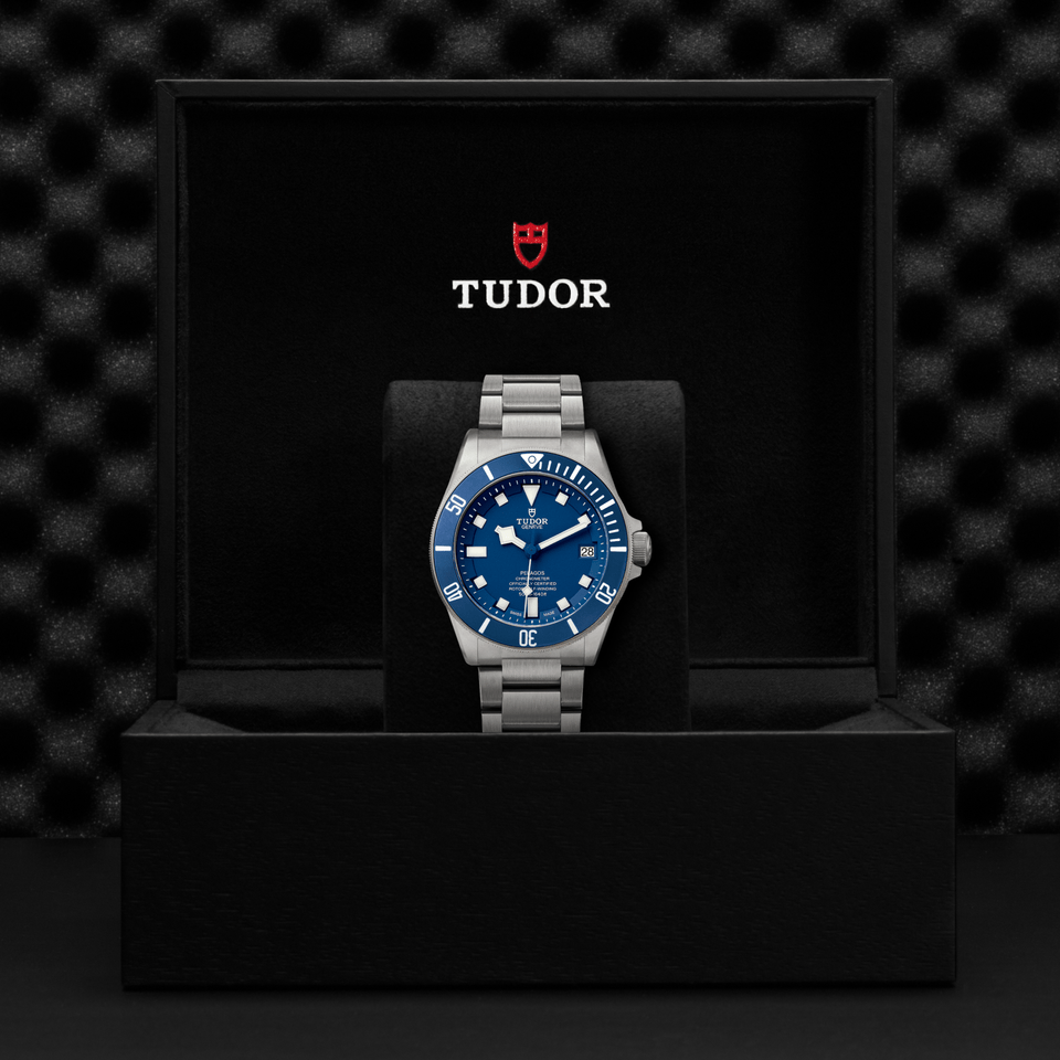 TUDOR Pelagos Automatic 42mm Watch at David M Robinson
