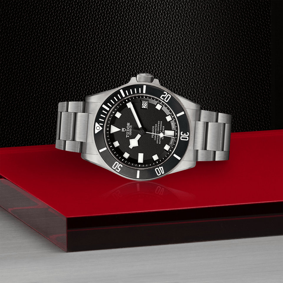 TUDOR Pelagos Automatic 42mm Watch at David M Robinson