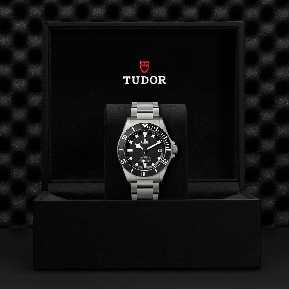 TUDOR Pelagos Automatic 42mm Watch at David M Robinson