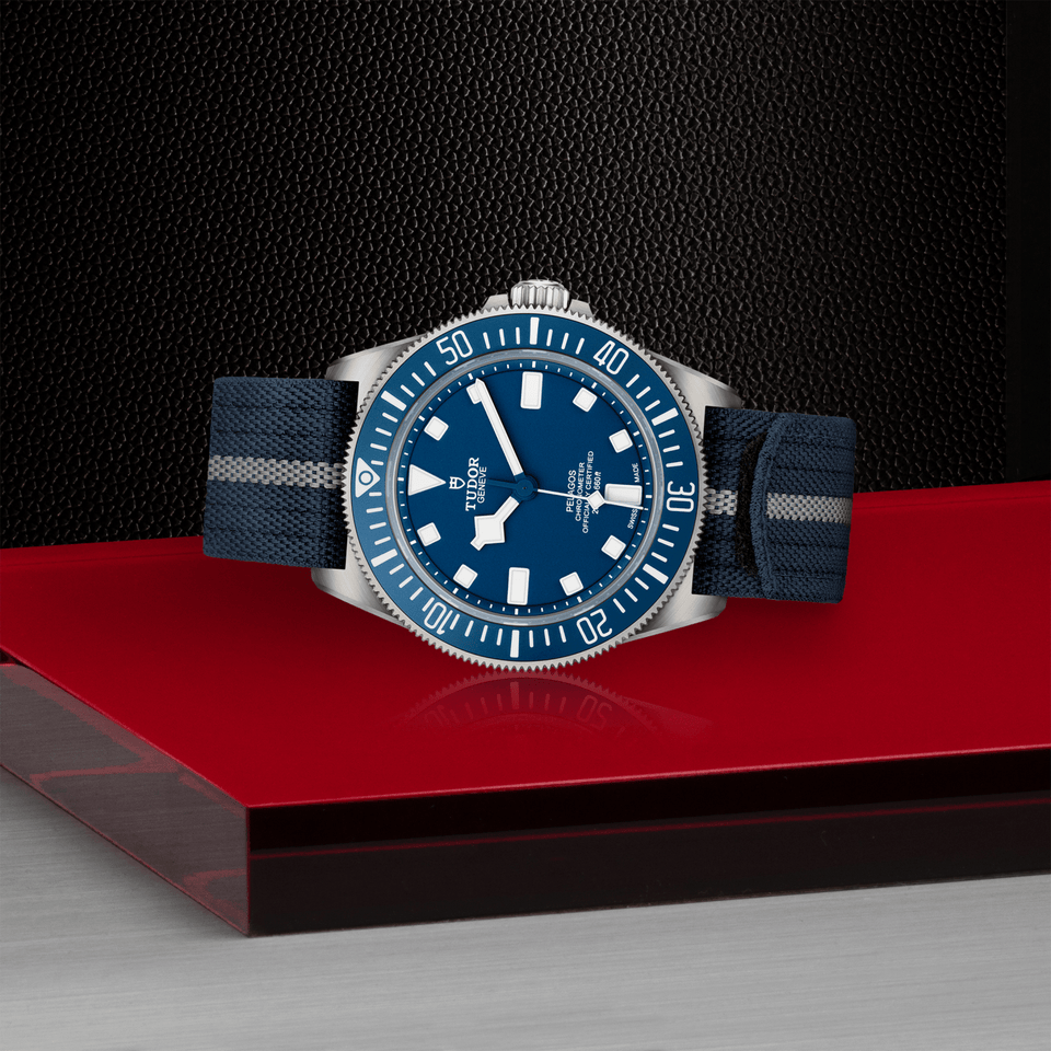 TUDOR Pelagos FXD Automatic 42mm Watch at David M Robinson