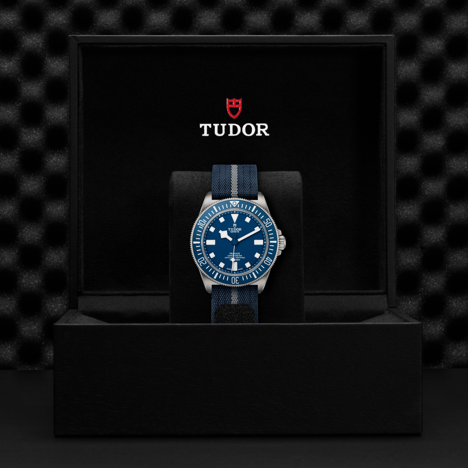 TUDOR Pelagos FXD Automatic 42mm Watch at David M Robinson