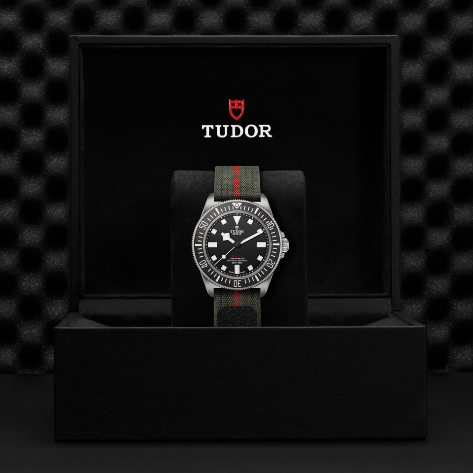 TUDOR Pelagos FXD Automatic 42mm Watch at David M Robinson