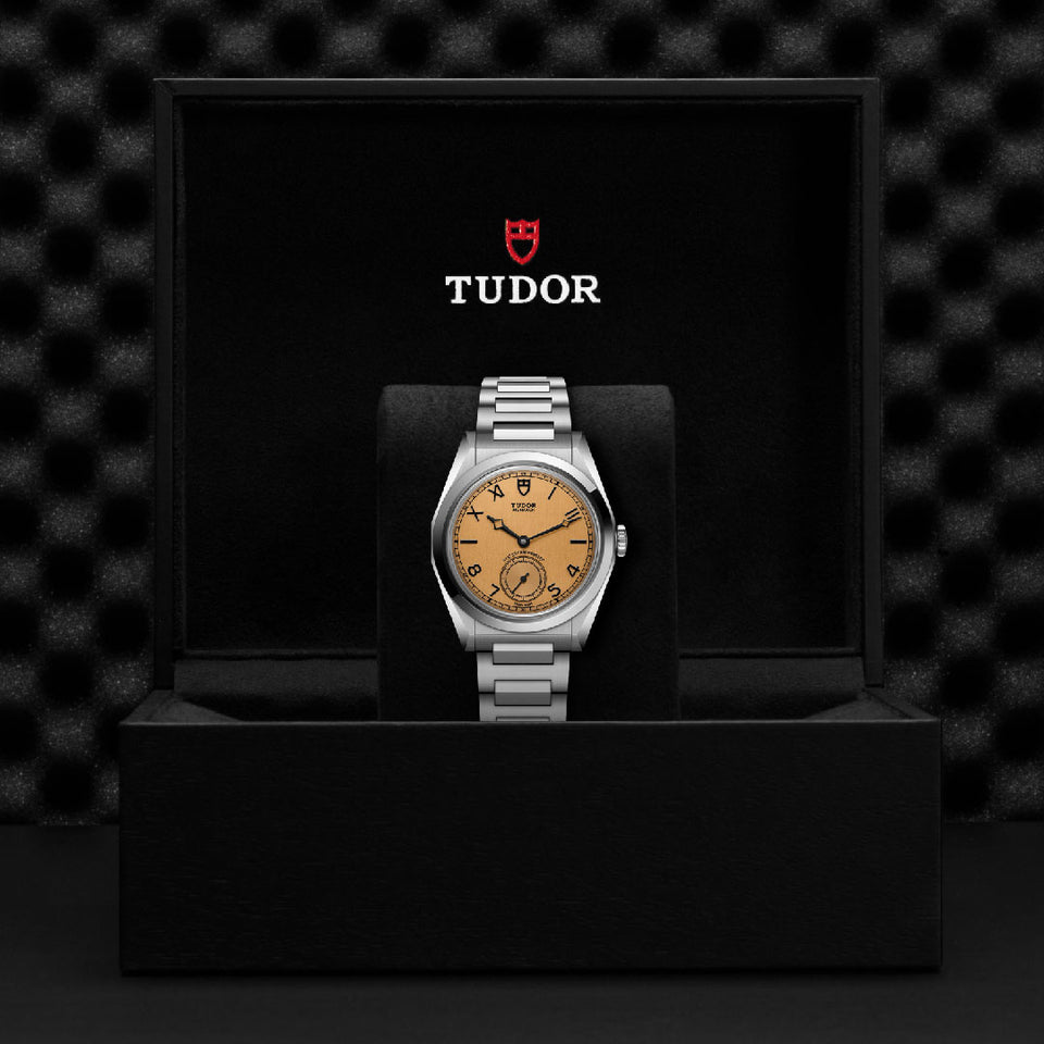TUDOR Monarch Watch at David M Robinson