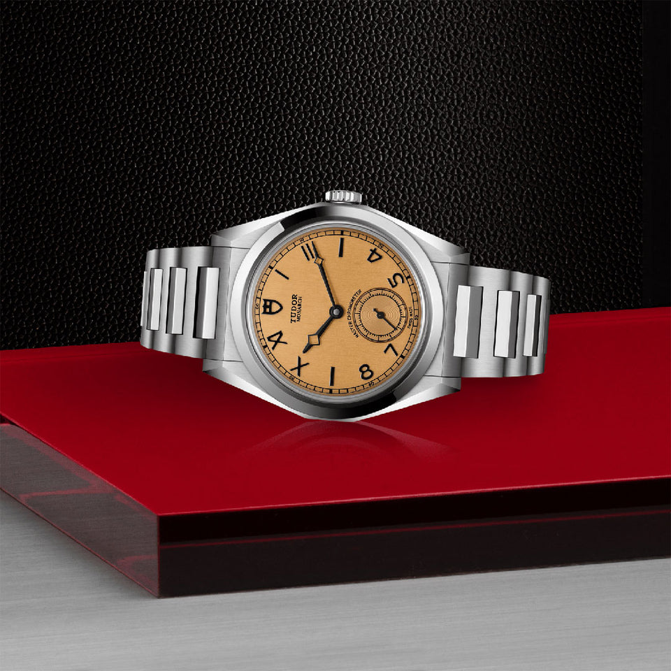 TUDOR Monarch Watch at David M Robinson