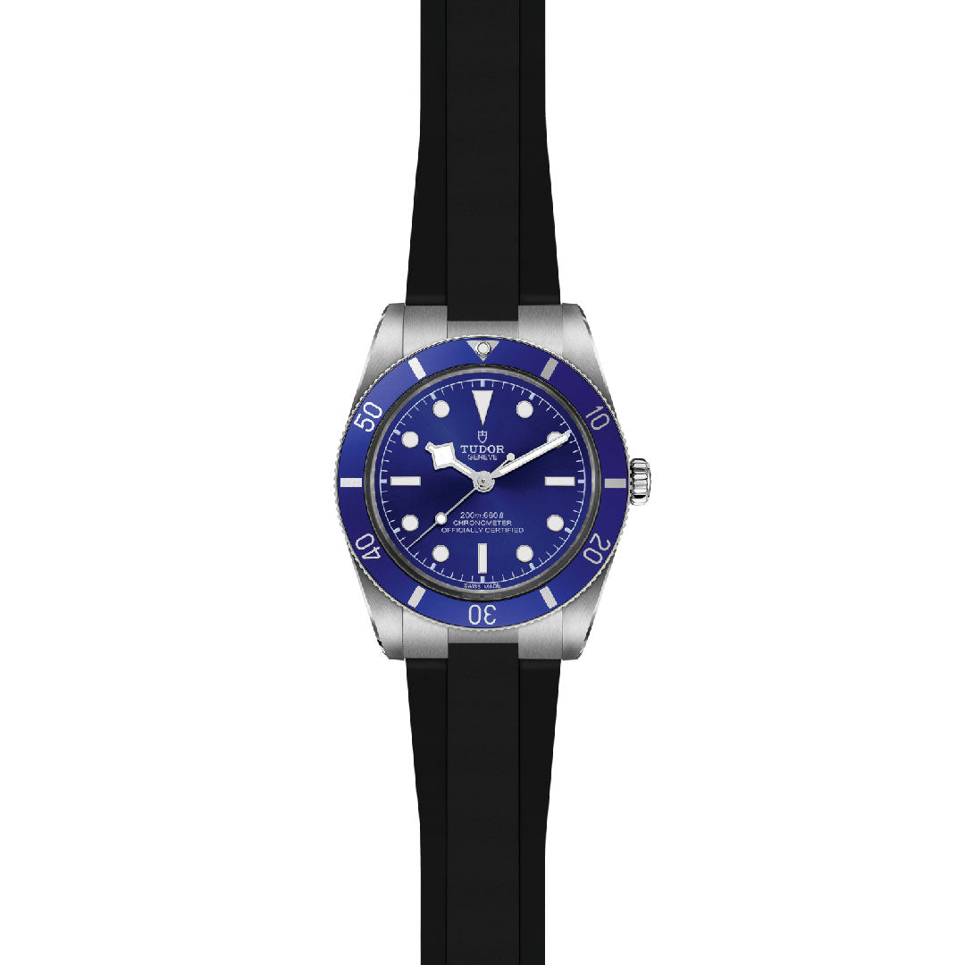 TUDOR Black Bay 54 Watch at David M Robinson