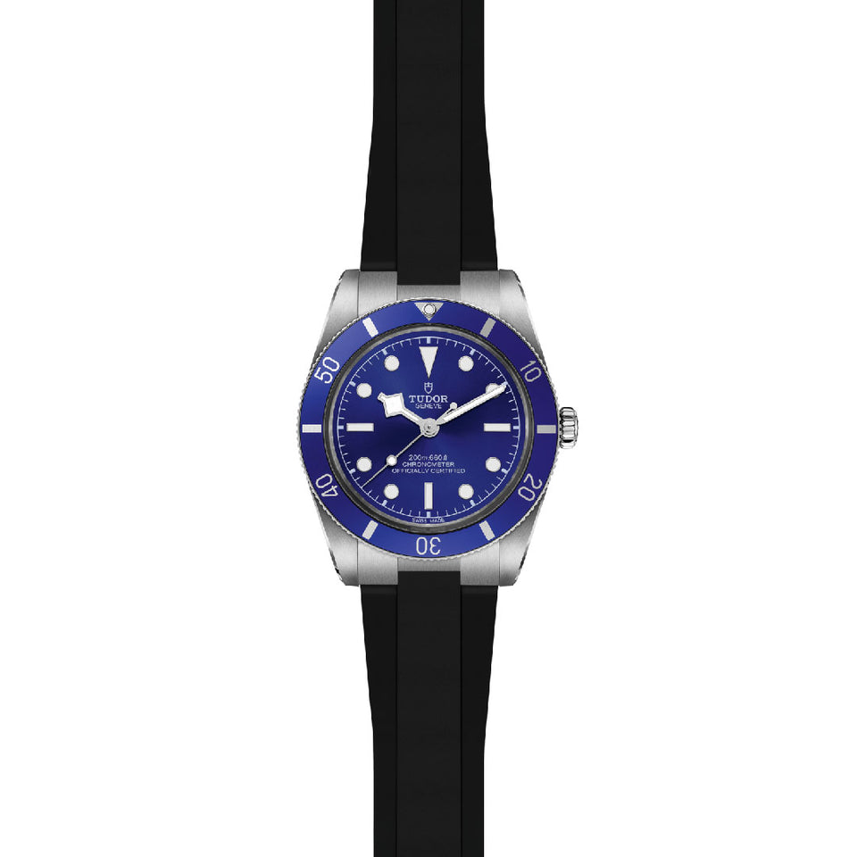TUDOR Black Bay 54 Automatic Watch