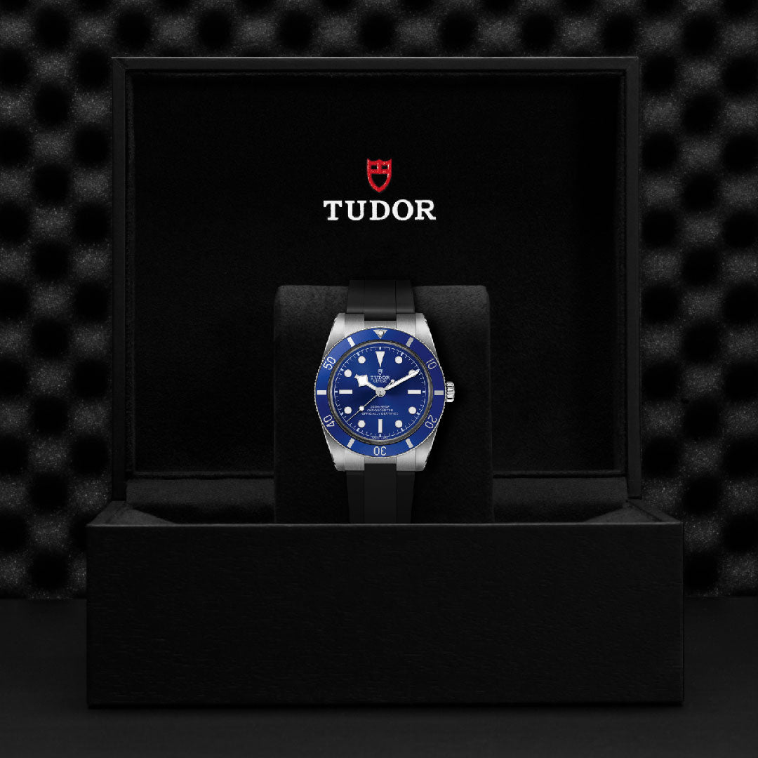 TUDOR Black Bay 54 Watch at David M Robinson