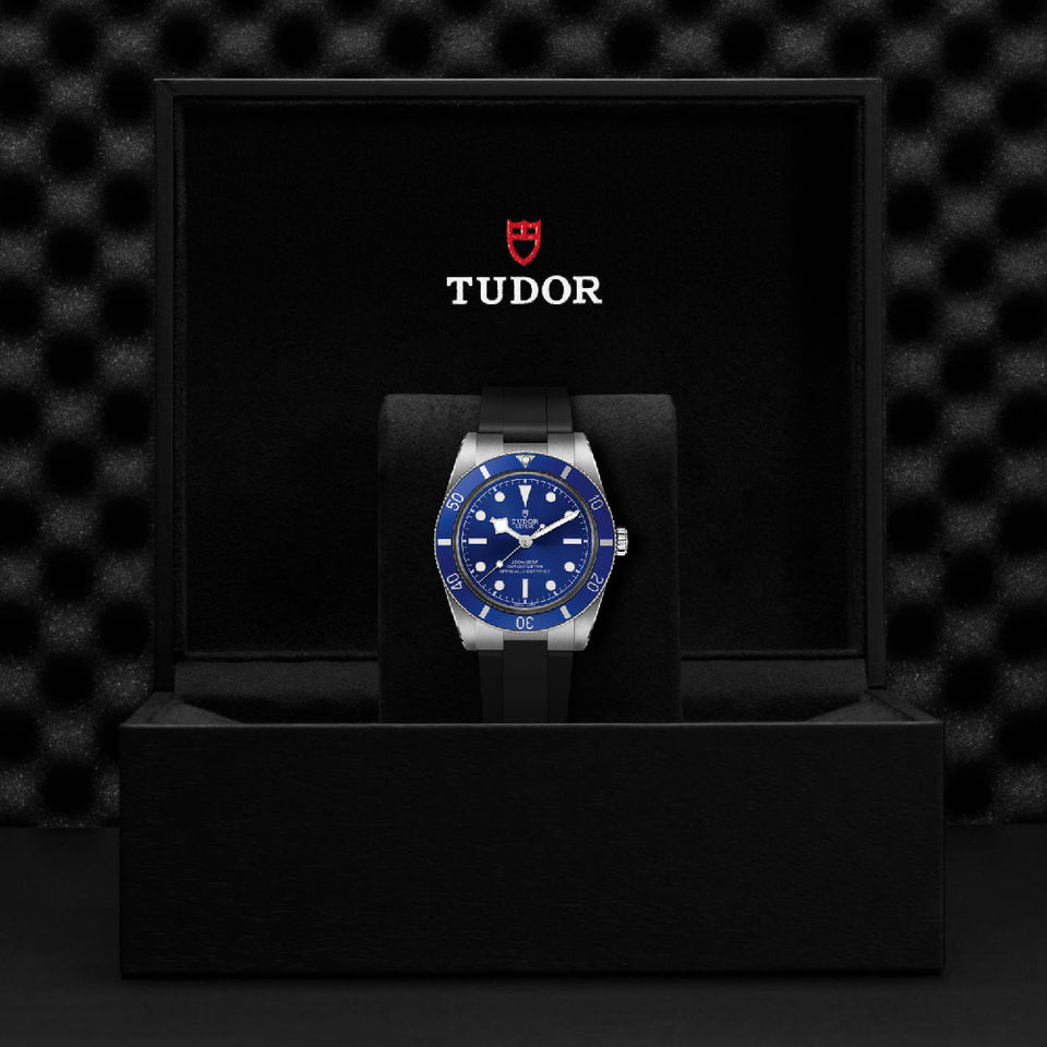 TUDOR Black Bay 54 Automatic Watch