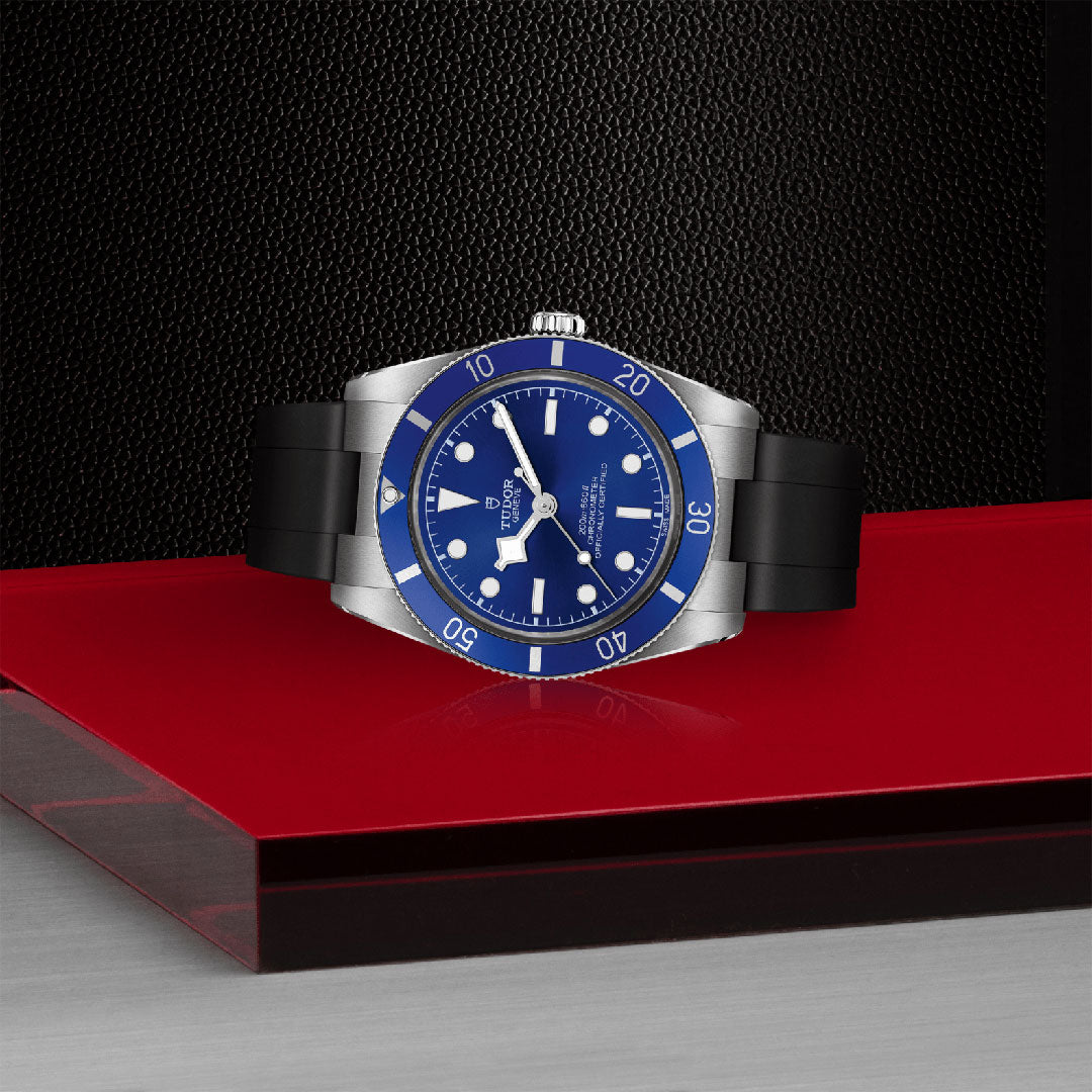 TUDOR Black Bay 54 Watch at David M Robinson