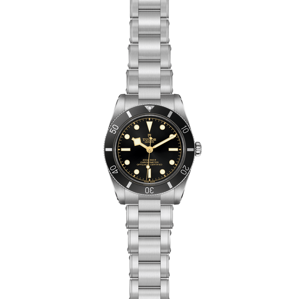 TUDOR Black Bay 54 Automatic Watch at David M Robinson