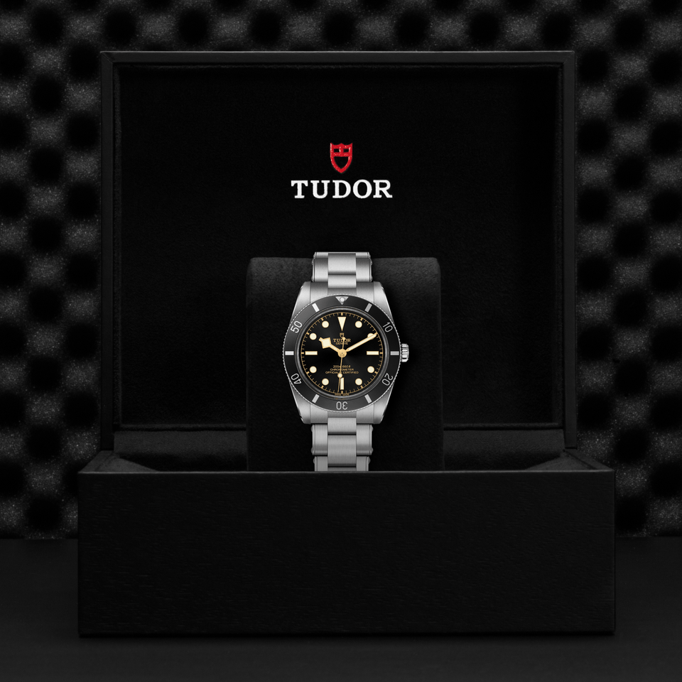 TUDOR Black Bay 54 Automatic Watch at David M Robinson