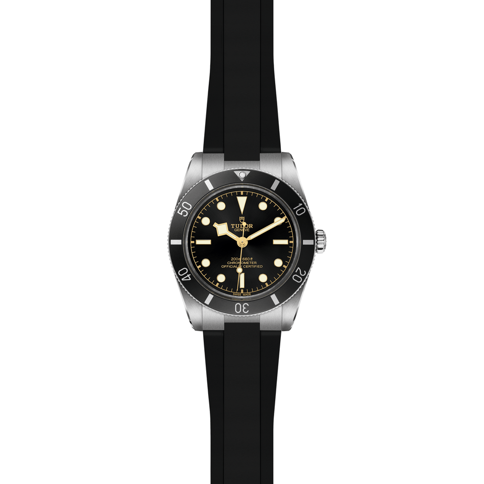 TUDOR Black Bay 54 Automatic Watch at David M Robinson