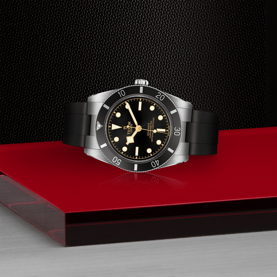 TUDOR Black Bay 54 Automatic Watch at David M Robinson
