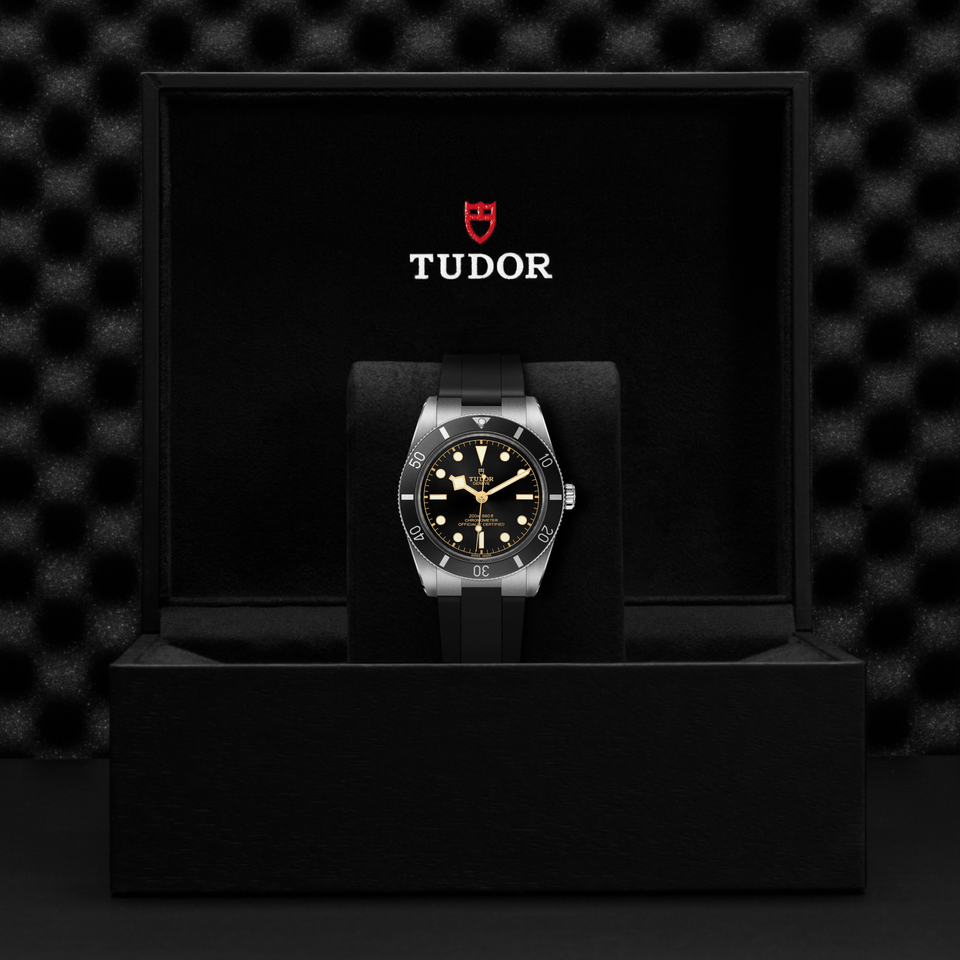 TUDOR Black Bay 54 Automatic Watch at David M Robinson