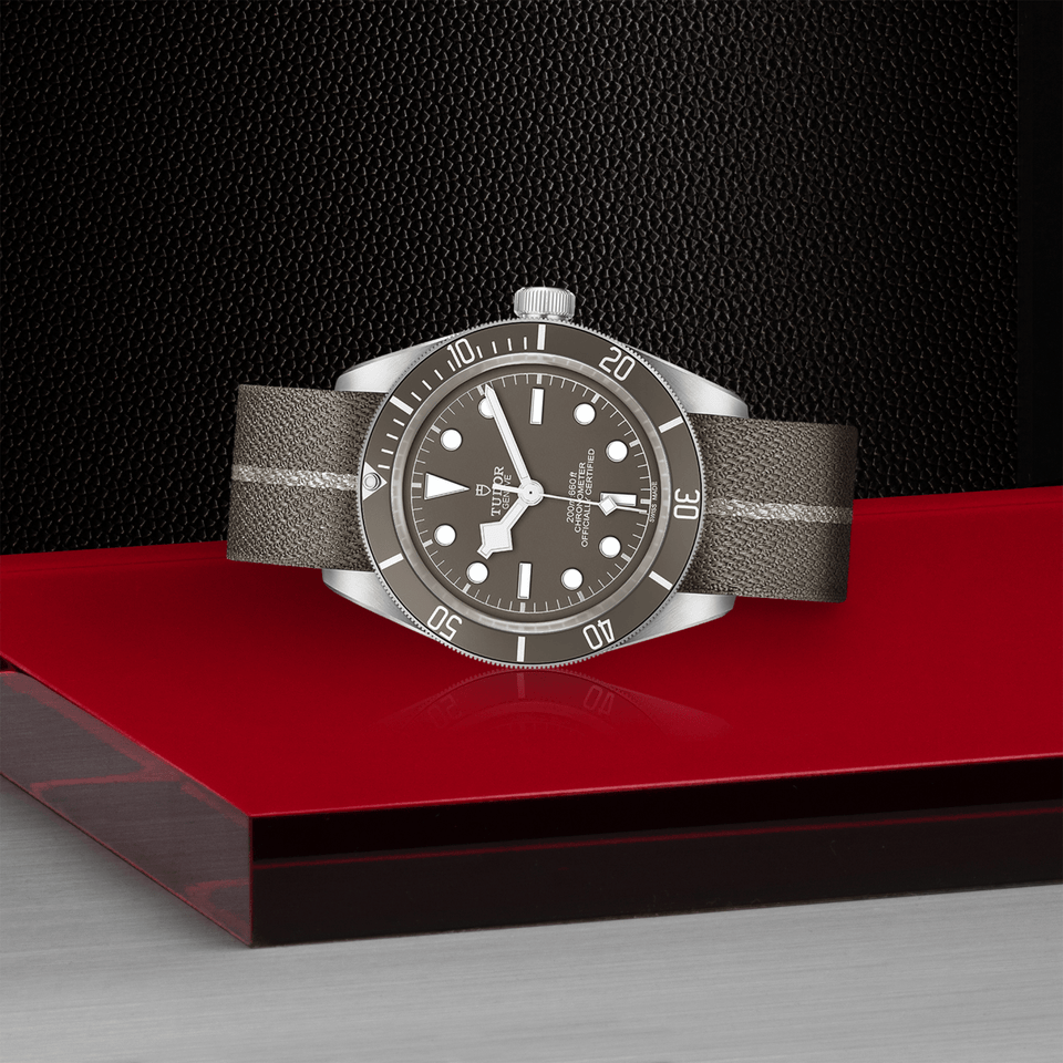 TUDOR Black Bay 58 925 Automatic 39mm Watch at David M Robinson