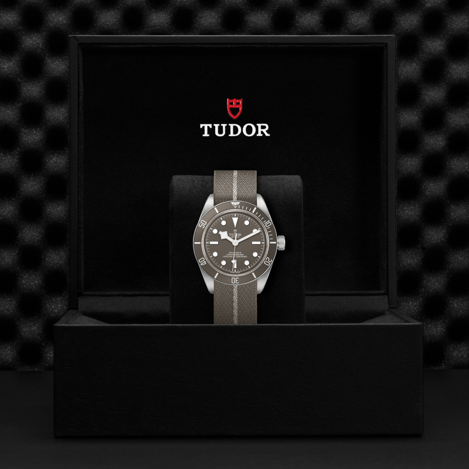 TUDOR Black Bay 58 925 Automatic 39mm Watch at David M Robinson