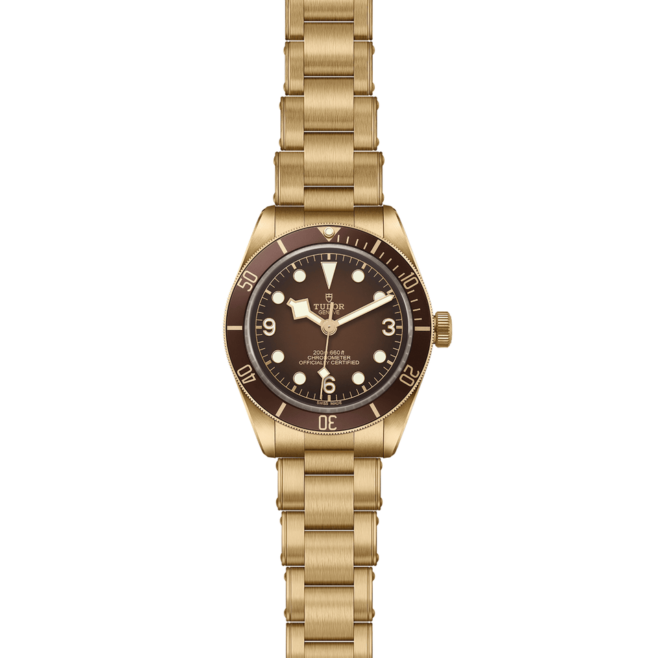 TUDOR Black Bay 58 Bronze Automatic 39mm Watch at David M Robinson