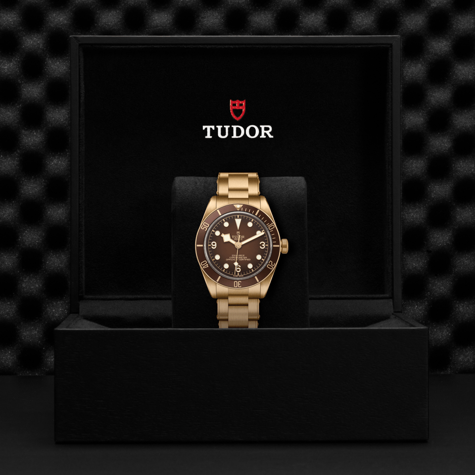 TUDOR Black Bay 58 Bronze Automatic 39mm Watch at David M Robinson