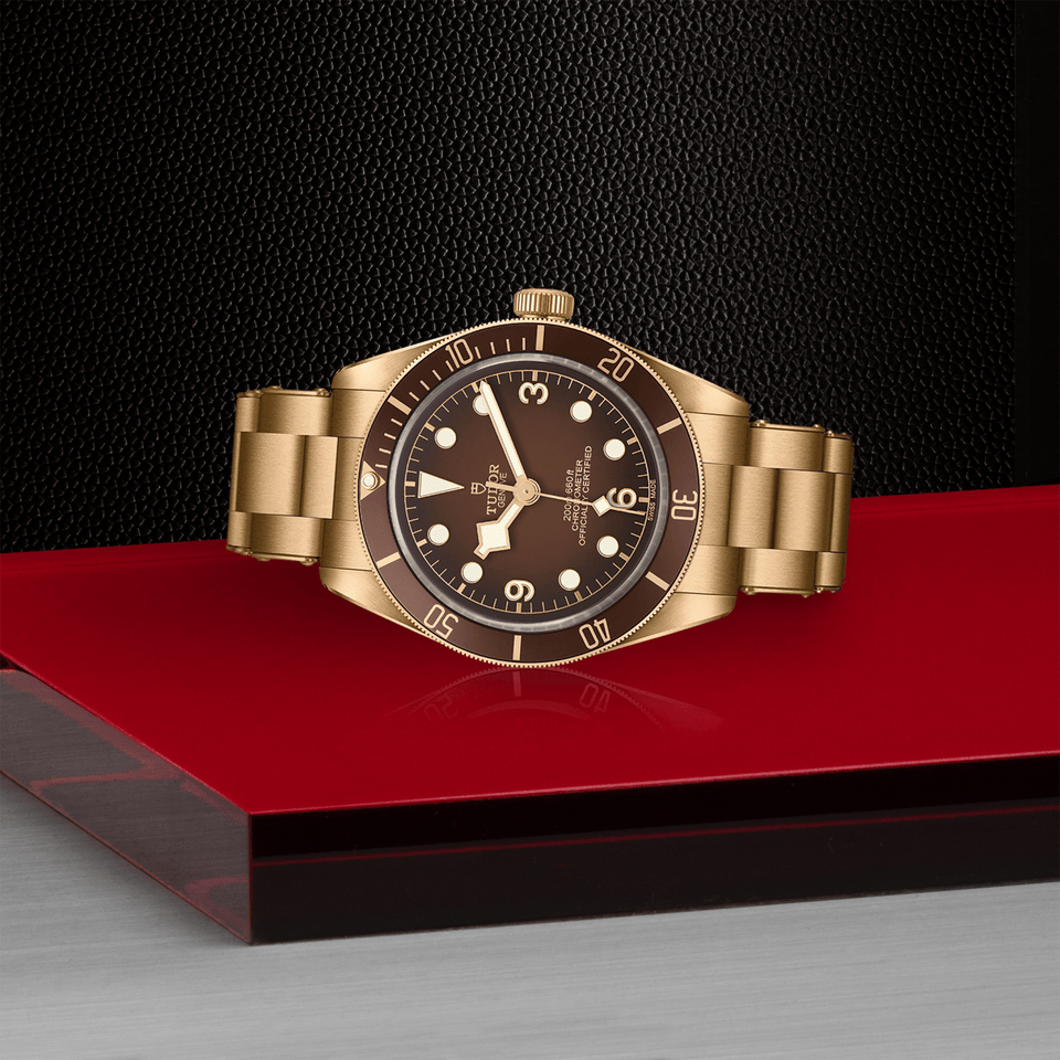 TUDOR Black Bay 58 Bronze Automatic 39mm Watch at David M Robinson
