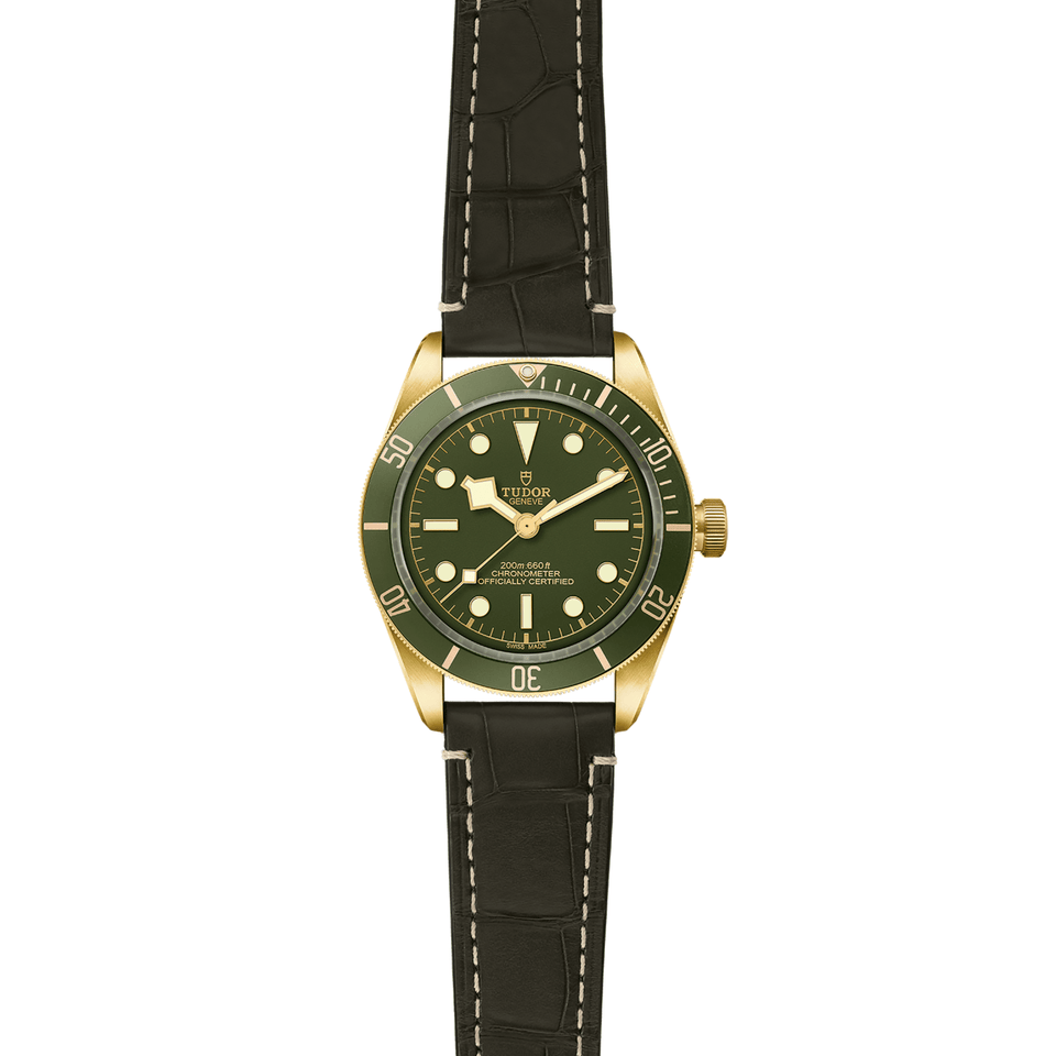 TUDOR Black Bay 58 18K Automatic 39mm Watch at David M Robinson