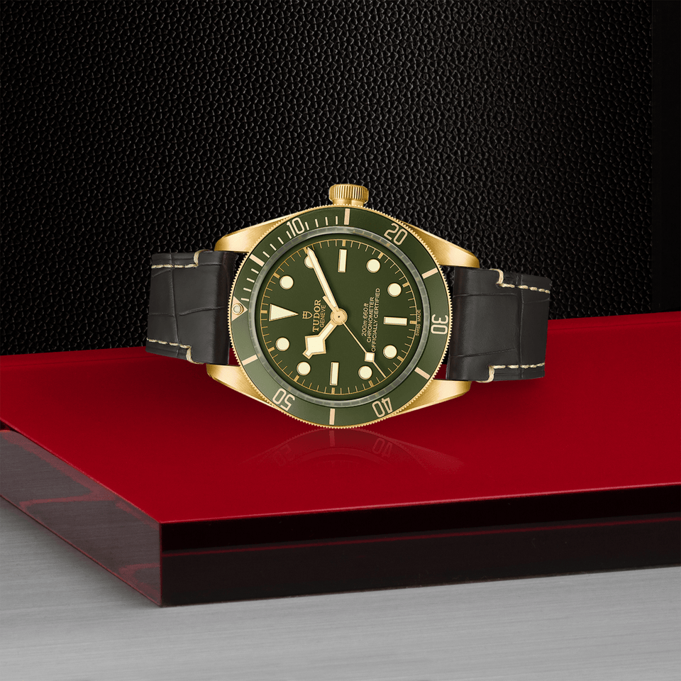 TUDOR Black Bay 58 18K Automatic 39mm Watch at David M Robinson