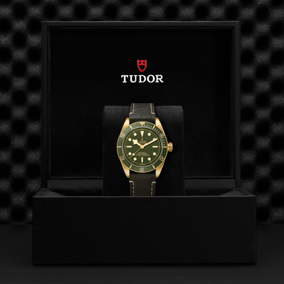 TUDOR Black Bay 58 18K Automatic 39mm Watch at David M Robinson