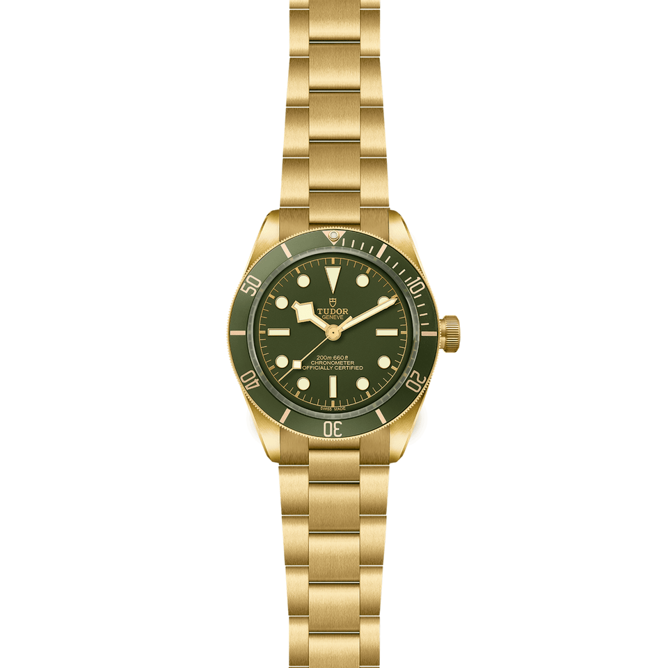 TUDOR Black Bay 58 18K Automatic Watch at David M Robinson