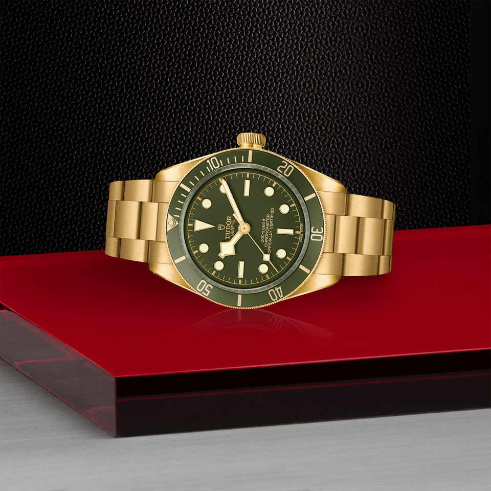 TUDOR Black Bay 58 18K Automatic Watch at David M Robinson