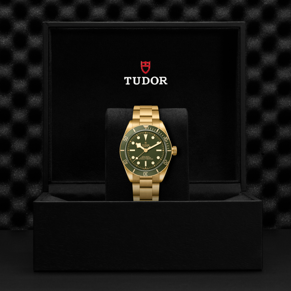 TUDOR Black Bay 58 18K Automatic Watch at David M Robinson