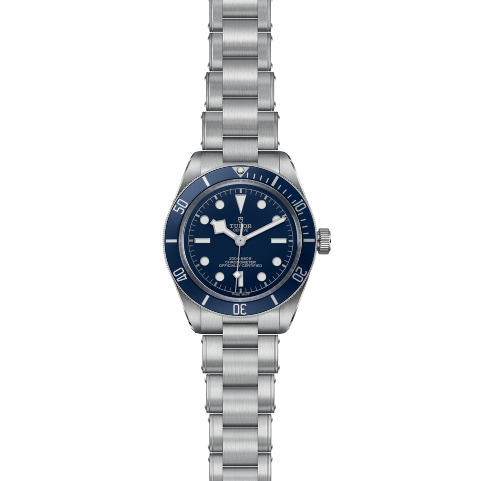 TUDOR Black Bay 58 Automatic 39mm Watch at David M Robinson