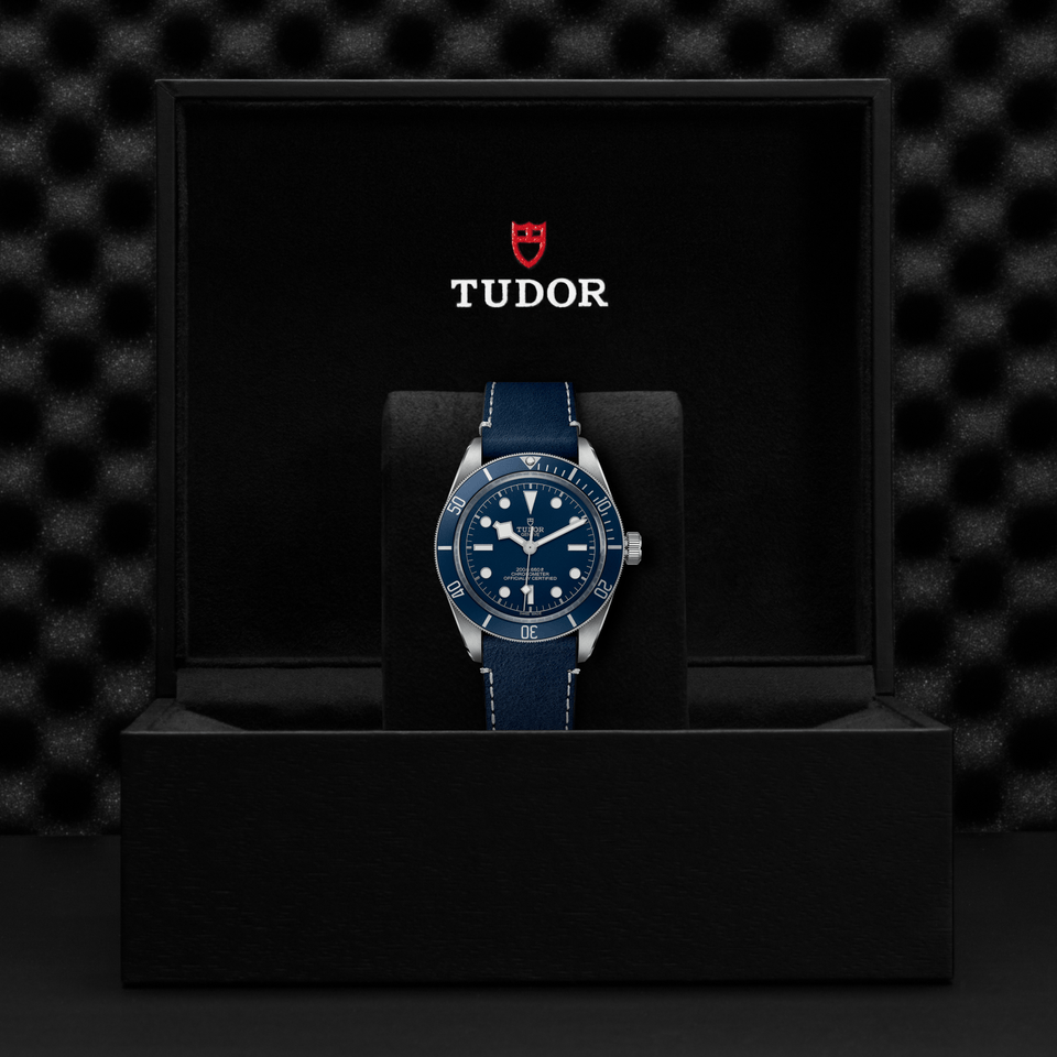 TUDOR Black Bay 58 Automatic 39mm Watch at David M Robinson