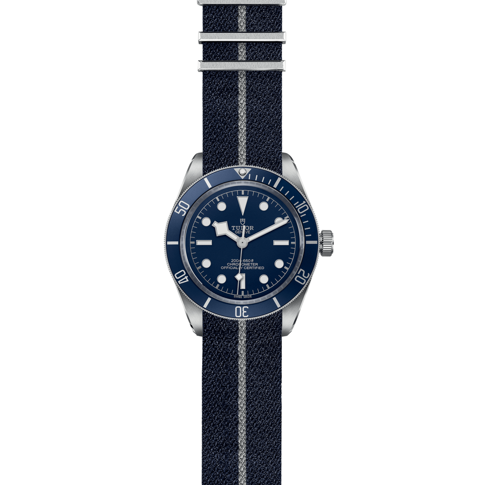 TUDOR Black Bay 58 Automatic 39mm Watch at David M Robinson