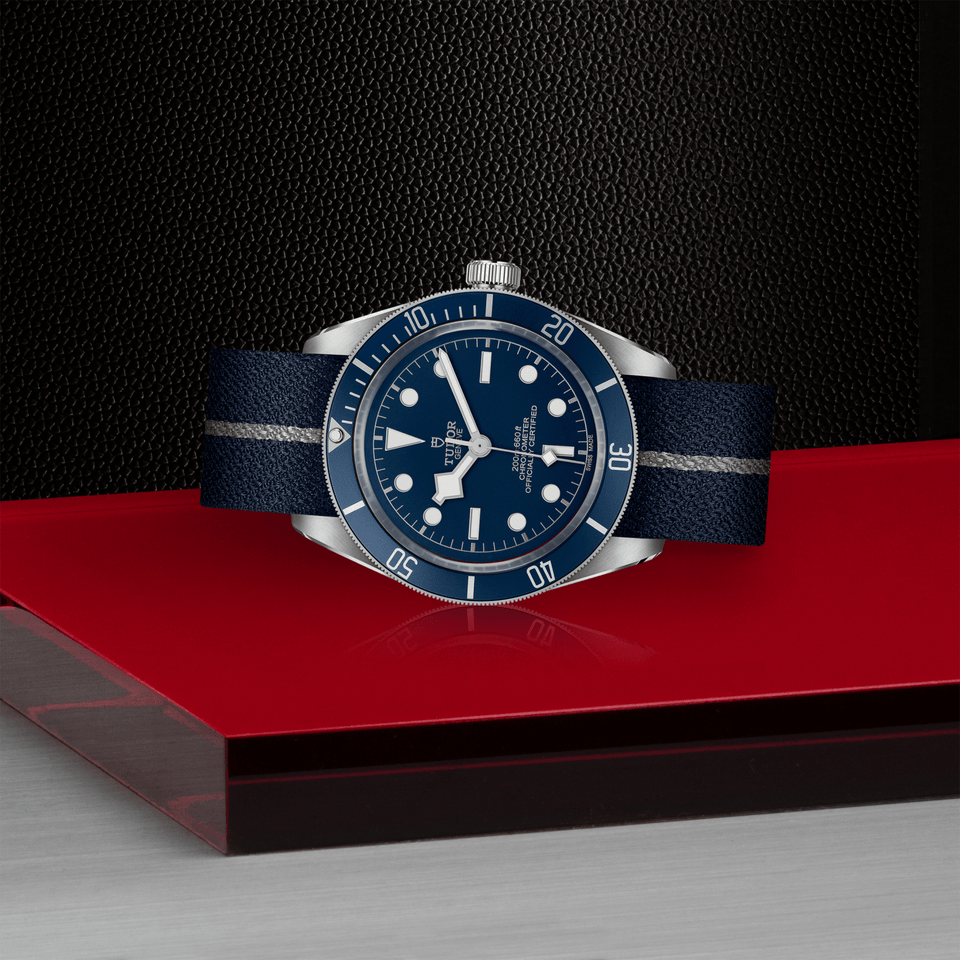 TUDOR Black Bay 58 Automatic 39mm Watch at David M Robinson