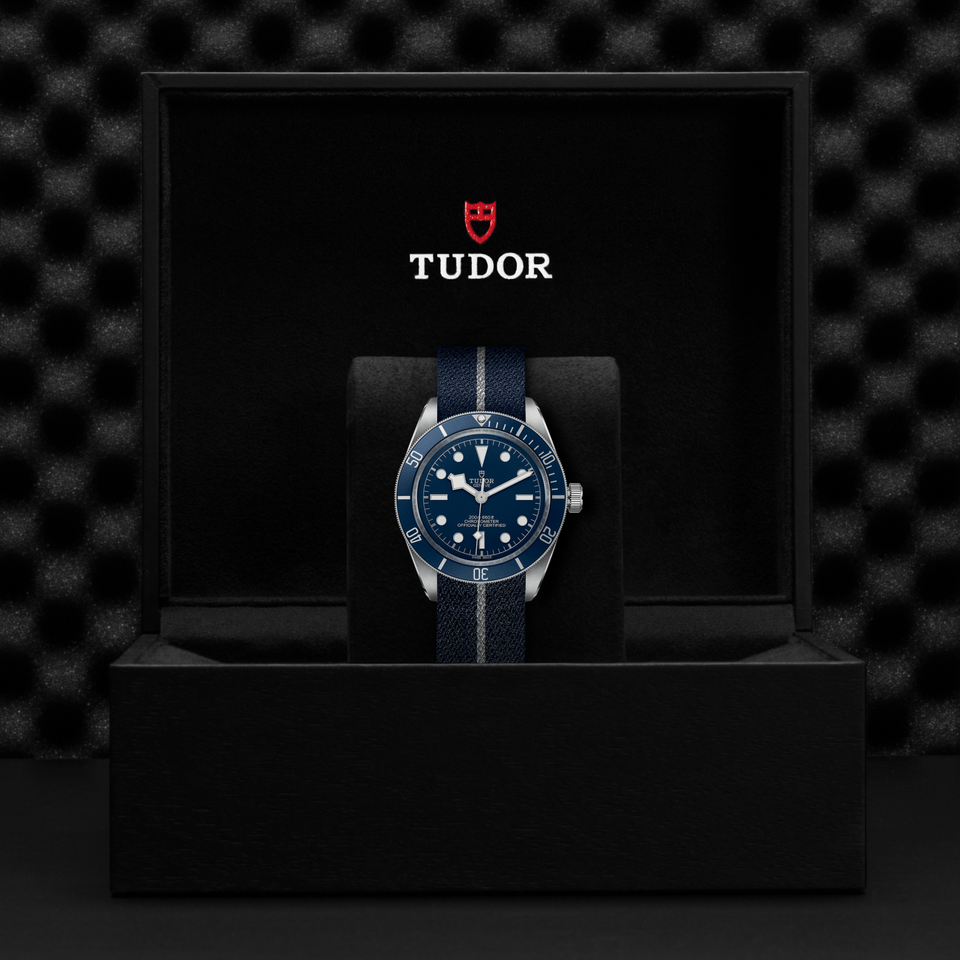 TUDOR Black Bay 58 Automatic 39mm Watch at David M Robinson