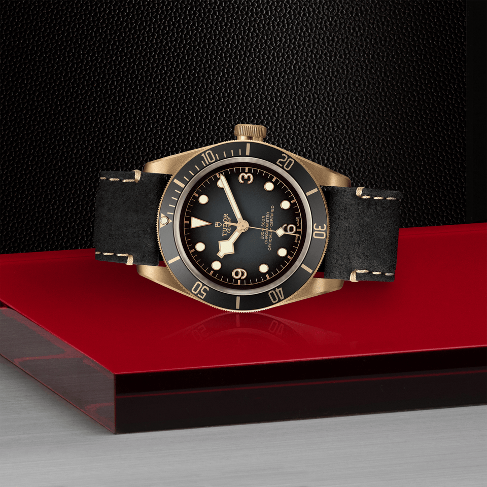 TUDOR Black Bay Bronze Automatic 43mm Watch at David M Robinson