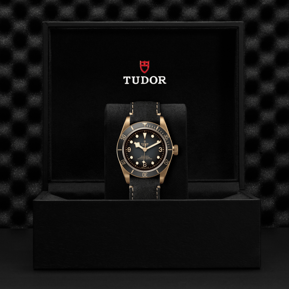 TUDOR Black Bay Bronze Automatic 43mm Watch at David M Robinson