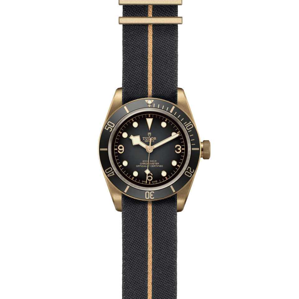 TUDOR Black Bay Bronze Automatic 43mm Watch at David M Robinson