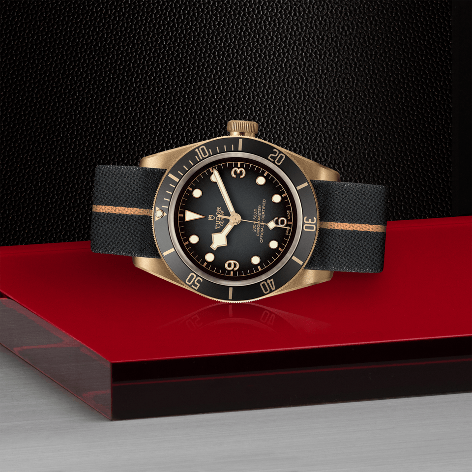 TUDOR Black Bay Bronze Automatic 43mm Watch at David M Robinson