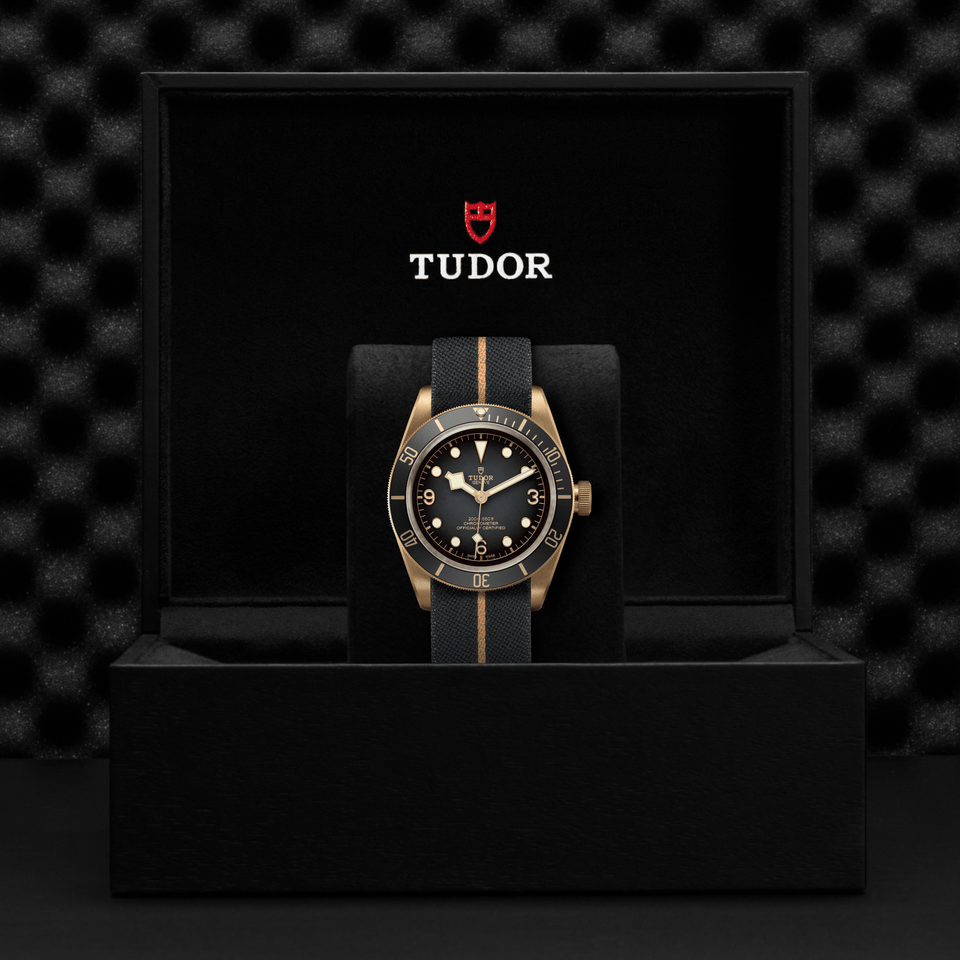 TUDOR Black Bay Bronze Automatic 43mm Watch at David M Robinson