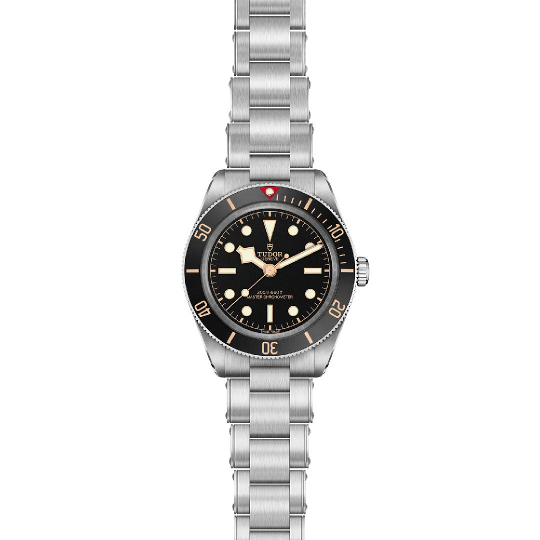 TUDOR Black Bay 58 Automatic 39mm Watch at David M Robinson